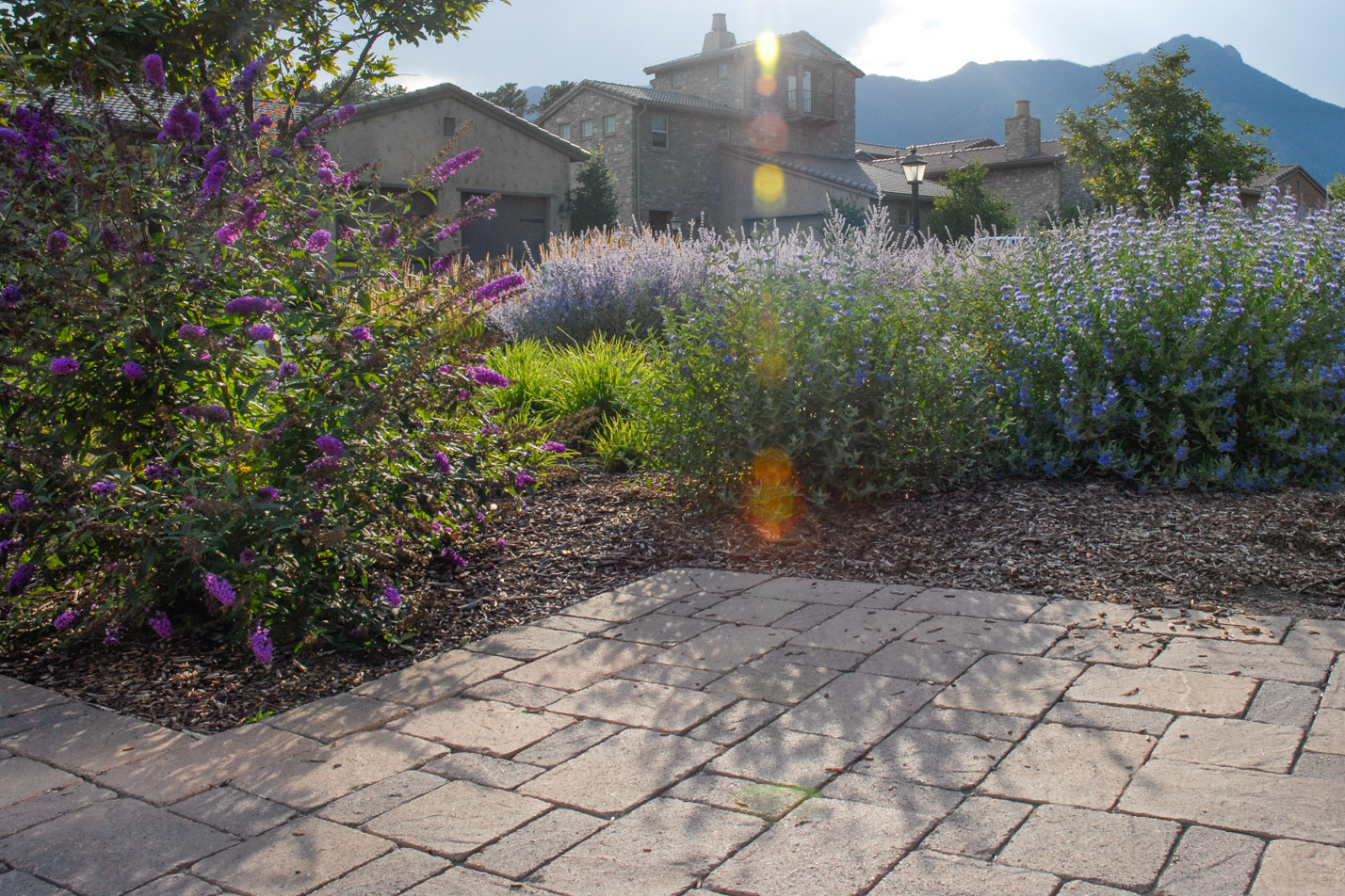 Patio Home Curb Appeal